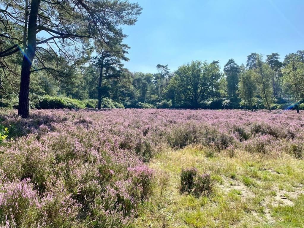Tot Rust In The Forest