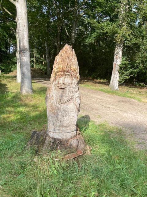 Apartment Tot Rust In The Forest Putte