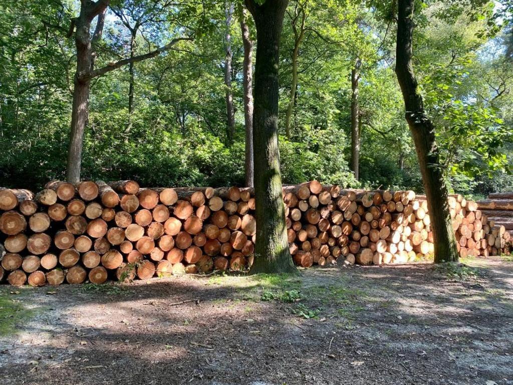 Tot Rust In The Forest Apartment Putte